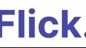 Flick Network – E-Invoicing UAE