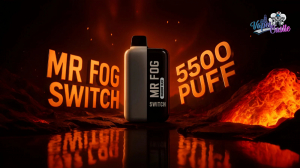 Mr Fog Switch 5500