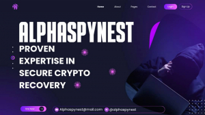 CONSULT ALPHA SPY NEST EXPERTS FOR YOUR LOST BTC/ETH/USDT RECOVERY JOURNEY.