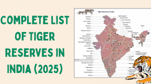 Complete List of Tiger Reserves in India (2025)