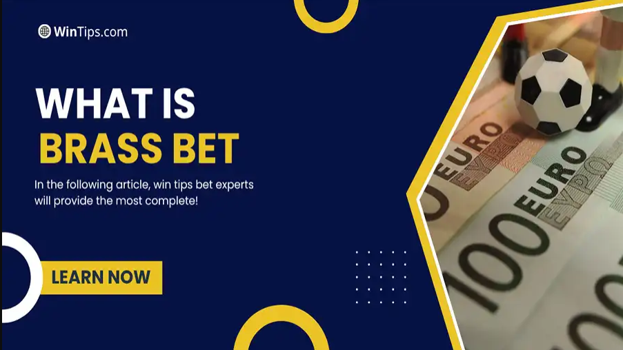 wintipscom