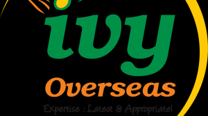 ireland education consultants in hyderabad