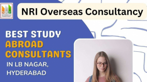 Best Study Abroad Consultants in LB Nagar