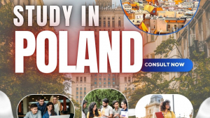 Poland Awaits: Study, Explore, and Build Your Career in the Heart of Europe