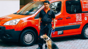 Effective Pest Management: Keeping Your Space Pest-Free in Singapore