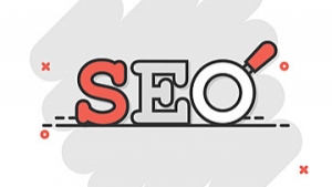 SEO services in Gold Coast.