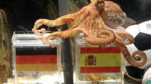 The Legendary Football-Predicting Octopus: Paul and His Unbelievable Match Forecasts 