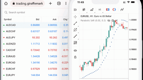 Giraffmarkets