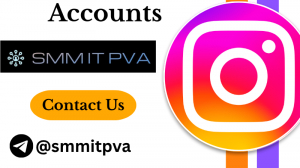 Buy Instagram Accounts