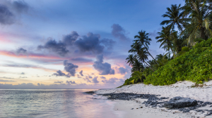  Affordable Tour Packages to Andaman Islands With TryTrabby