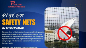 Pigeon Safety Nets in Hyderabad