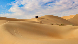 Liwa Desert Safari Abu Dhabi
