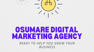 Best Search Engine Optimization Company in Delhi