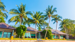Explore Luxury Living: Top Villas in ECR for Rent with Private Pools & Beachfront Views