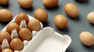 The Reason Why You Need to Purchase Egg Cartons in Bulk