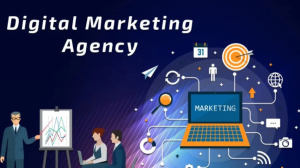 Digital Marketing Agency in Dubai: Instant Traffic Boosts [+Case Study]