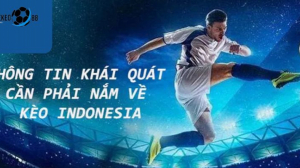 Thrilling Bets: Diving into Indonesian Odds on My88Fun