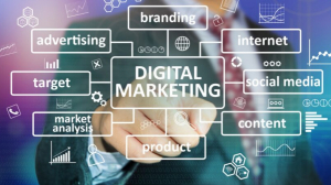 Digital Marketing Company in Patiala
