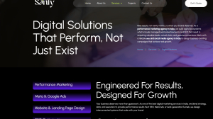 Sanfy Consultancy Services Your Growth/ Innovation partner