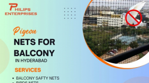 Pigeon Safety Nets in Hyderabad.Ts