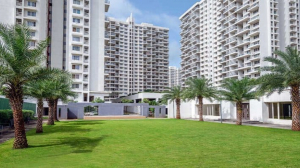 Venturing into Premium Residential Projects in Pune: From Treasure Troves to Punawale—Pune Realty