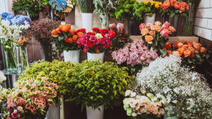 Same Day Flower Delivery Karachi – Bringing Fresh Blooms on Time