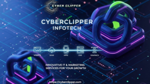 cyberclipper infotech