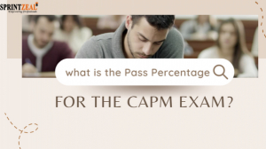 The Complete Beginner’s Guide to Enrolling in a CAPM Exam Training Course