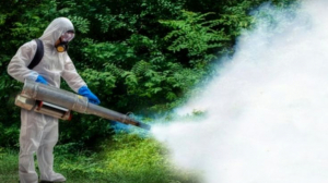 ORIGIN Exterminators: Revolutionizing Pest Control in Singapore by Fighting Smarter, Not Harder