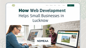 How Web Development Helps Small Businesses in Lucknow | NDMEAA