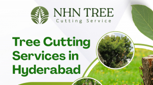 Tree Cutting Services Near Me – Safe & Easy by NHN Tree Cutting Hyderabad