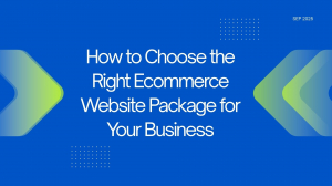 How to Choose the Right Ecommerce Website Package for Your Business