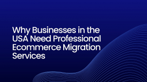 Why Businesses in the USA Need Professional Ecommerce Migration Services
