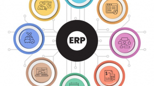  The Role of Inventory Management Software in Business Growth