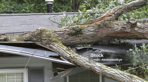 Storm Damage Restoration in Gosnells