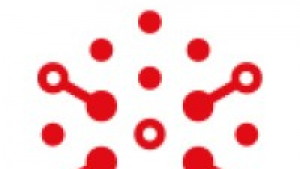 WordPress Web Development Services Turning Ideas Into Powerful Websites