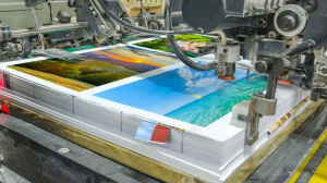Bold Impact with Wide Format Printing Solutions