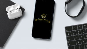 Software company In Lucknow