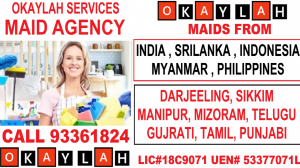 Understanding the Rise of Maid Agencies and Customer Satisfaction