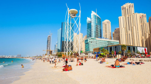 Abu Dhabi City Tour Package – Discover the Capital of the UAE 