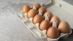 Advantages of Purchasing Egg Cartons in Large Packages.