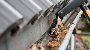 Gutter cleaning in Harristown