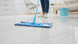 Exterior House Cleaning Services in Fort Myers FL: Eco-Friendly