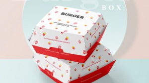 How Burger Box Manufacturers in Delhi Are Redefining Khaana Packaging Standards