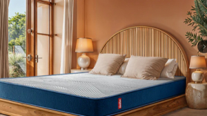 Buy Quality Mattress Online at the Best Mattress Price