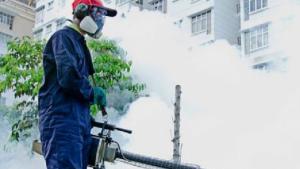 Ang Mo Kio & Jurong Pest Management: Prevent Issues Before They Spread