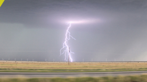 David Moore Electric Co., LLC