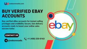 Top 5 Sites to Buy a Verified eBay Account 