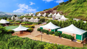 top 10 reasons why Sunny’s World should be your next weekend destination