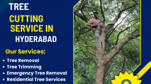Tree Cutting Services Near Me – Safe & Easy by NHN Tree Cutting Hyderabad